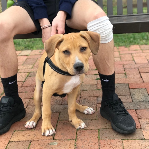 !Make Offers! - Picture 1 of 1